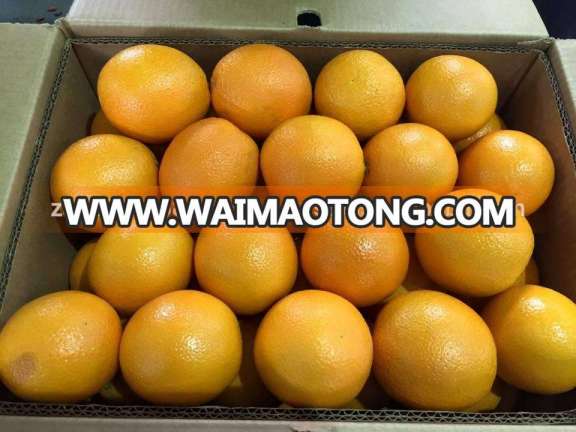 Fresh Valencia Oranges